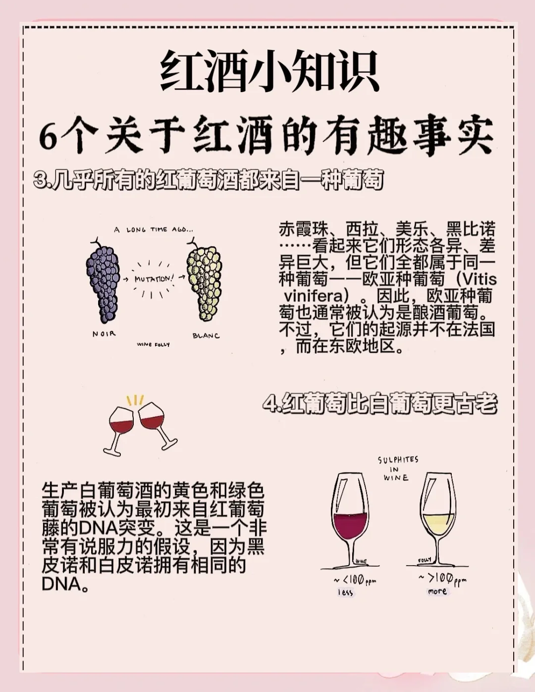 红酒知识科普——6个关于红酒的有趣事实