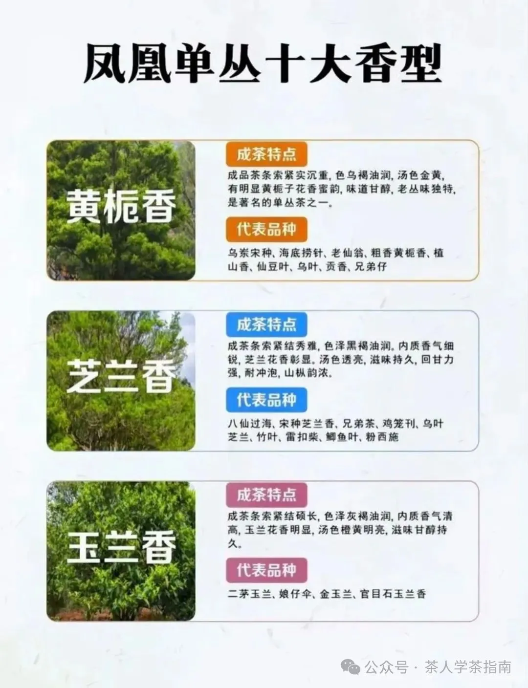 什么是凤凰单丛十大香型？