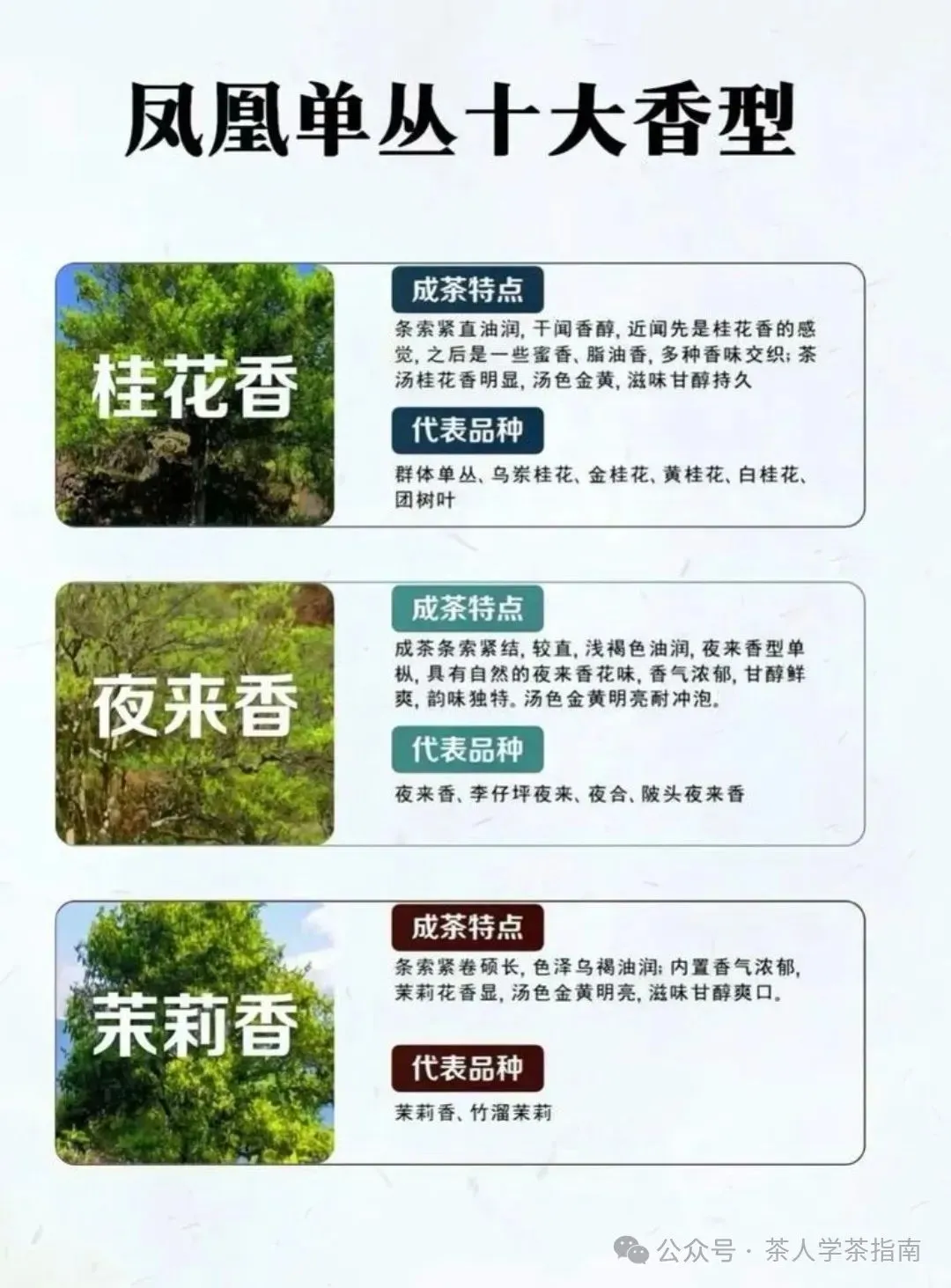 什么是凤凰单丛十大香型？