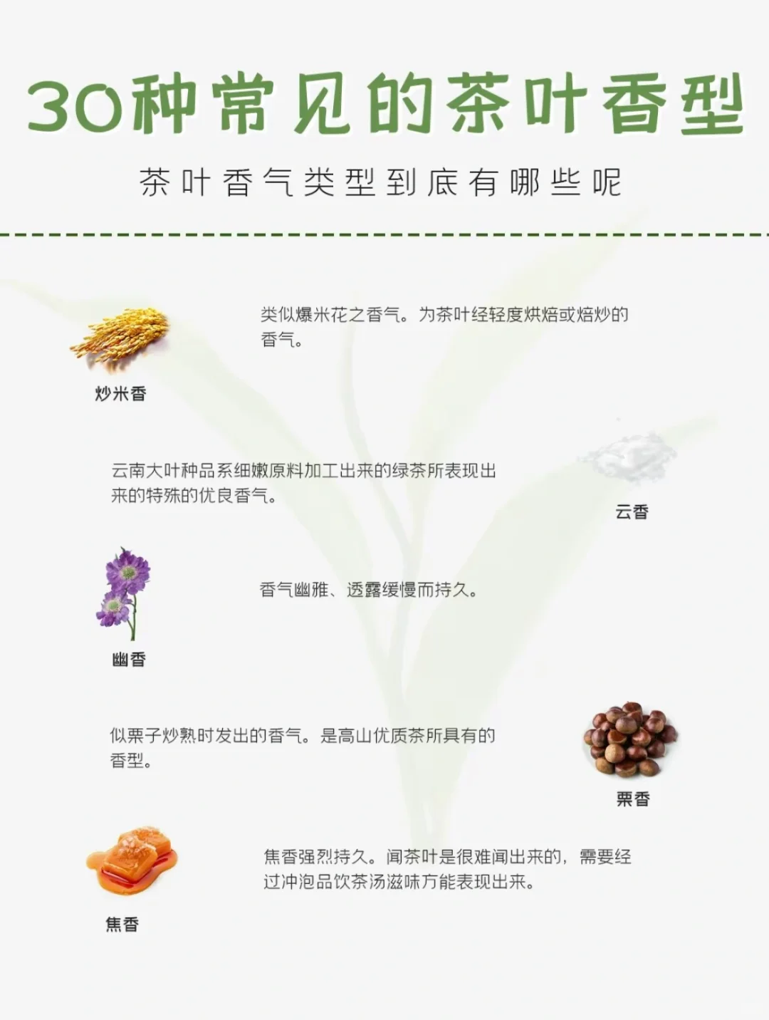 30种常见香型，你喜欢的是哪种呢？