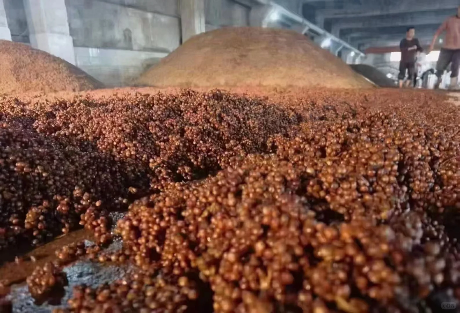 口感无限接近飞天的散酒