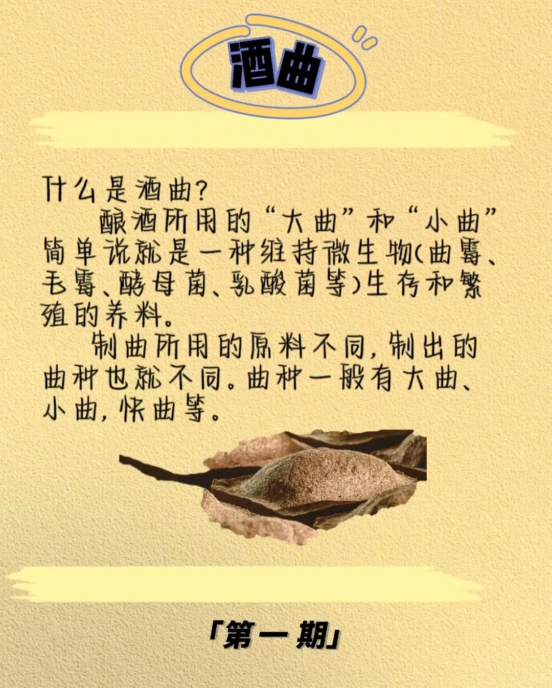 每天一个小知识—酒曲