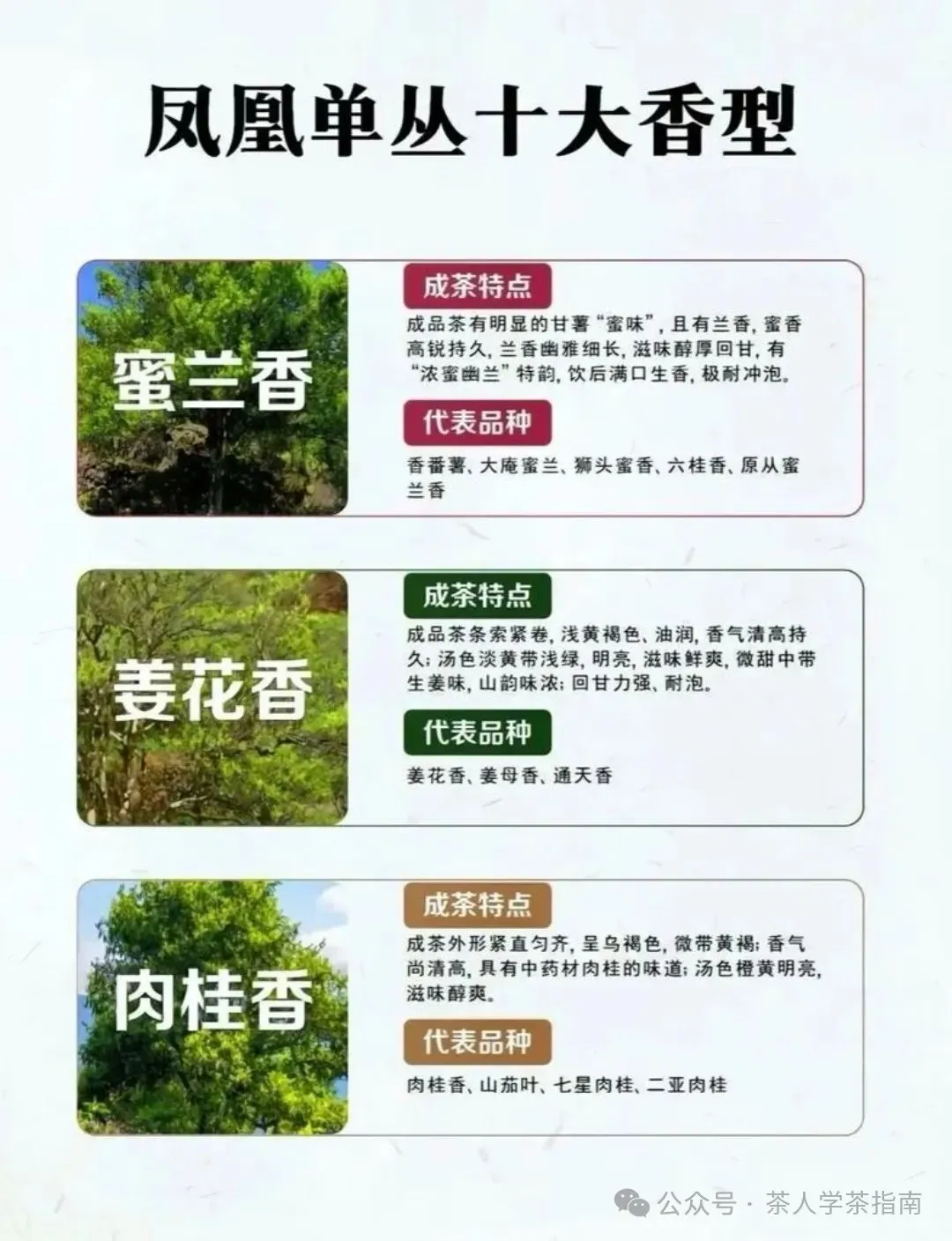 什么是凤凰单丛十大香型？