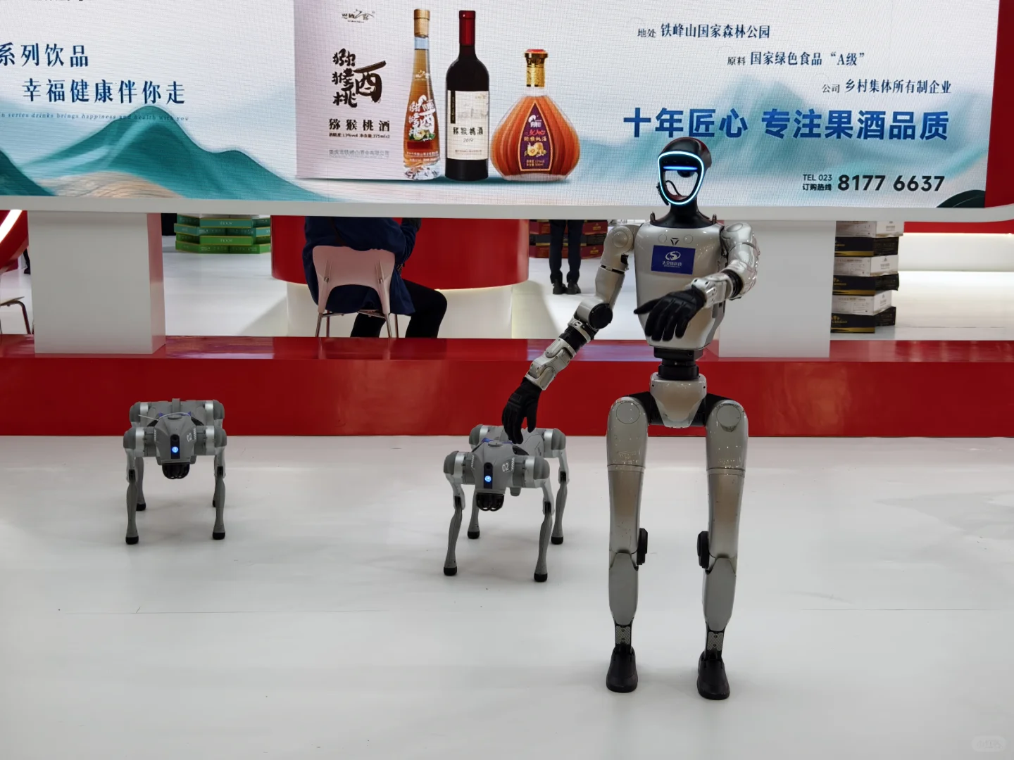 秋糖酒会｜关于我背了24斤回家的感受