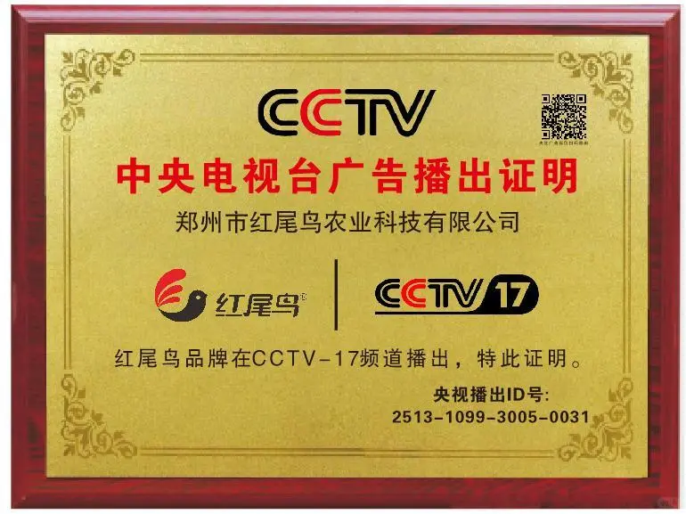 社保还双休环境又好的公司到底谁在上