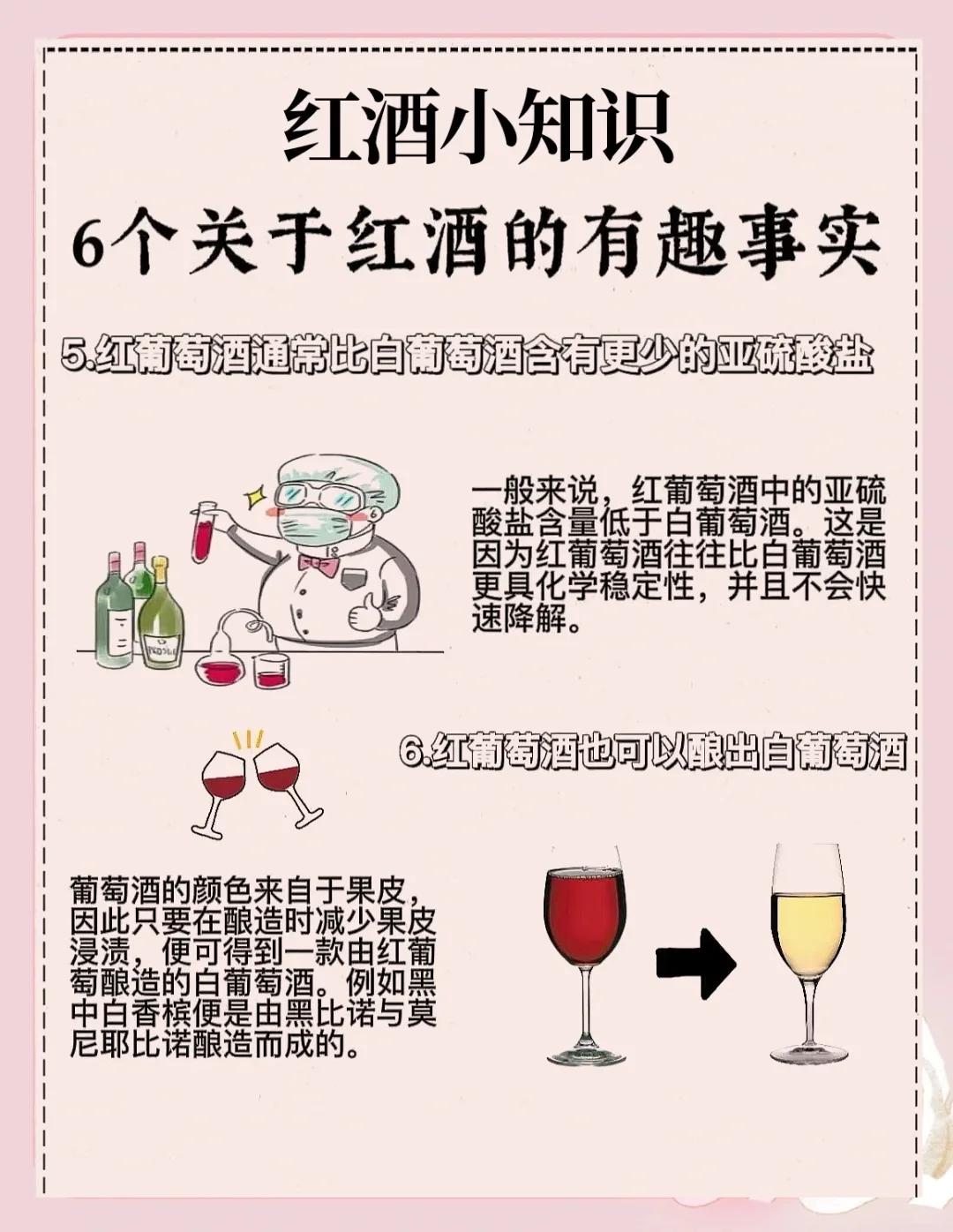 红酒知识科普——6个关于红酒的有趣事实