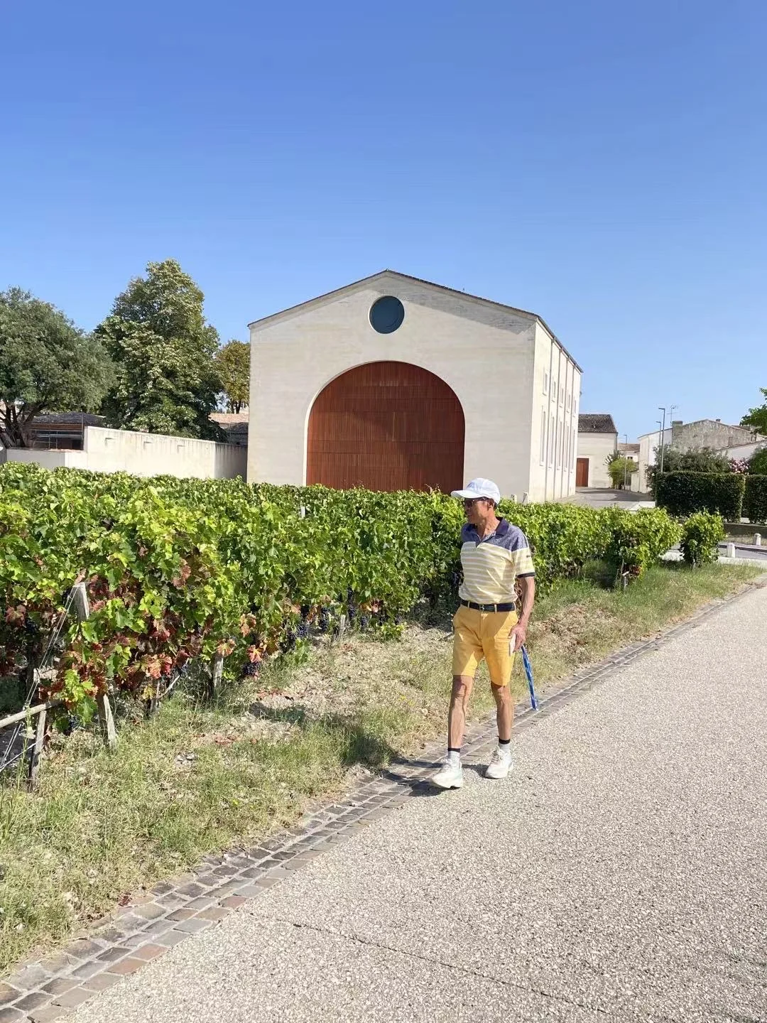 波尔多，沉醉在葡萄酒的芬芳世界（上）