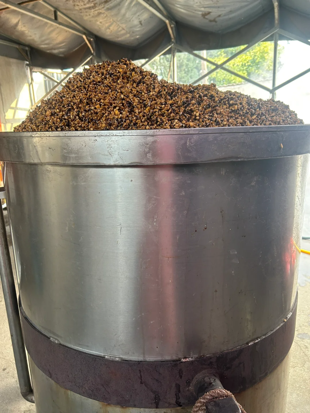 清新糯香！独爱这一杯?