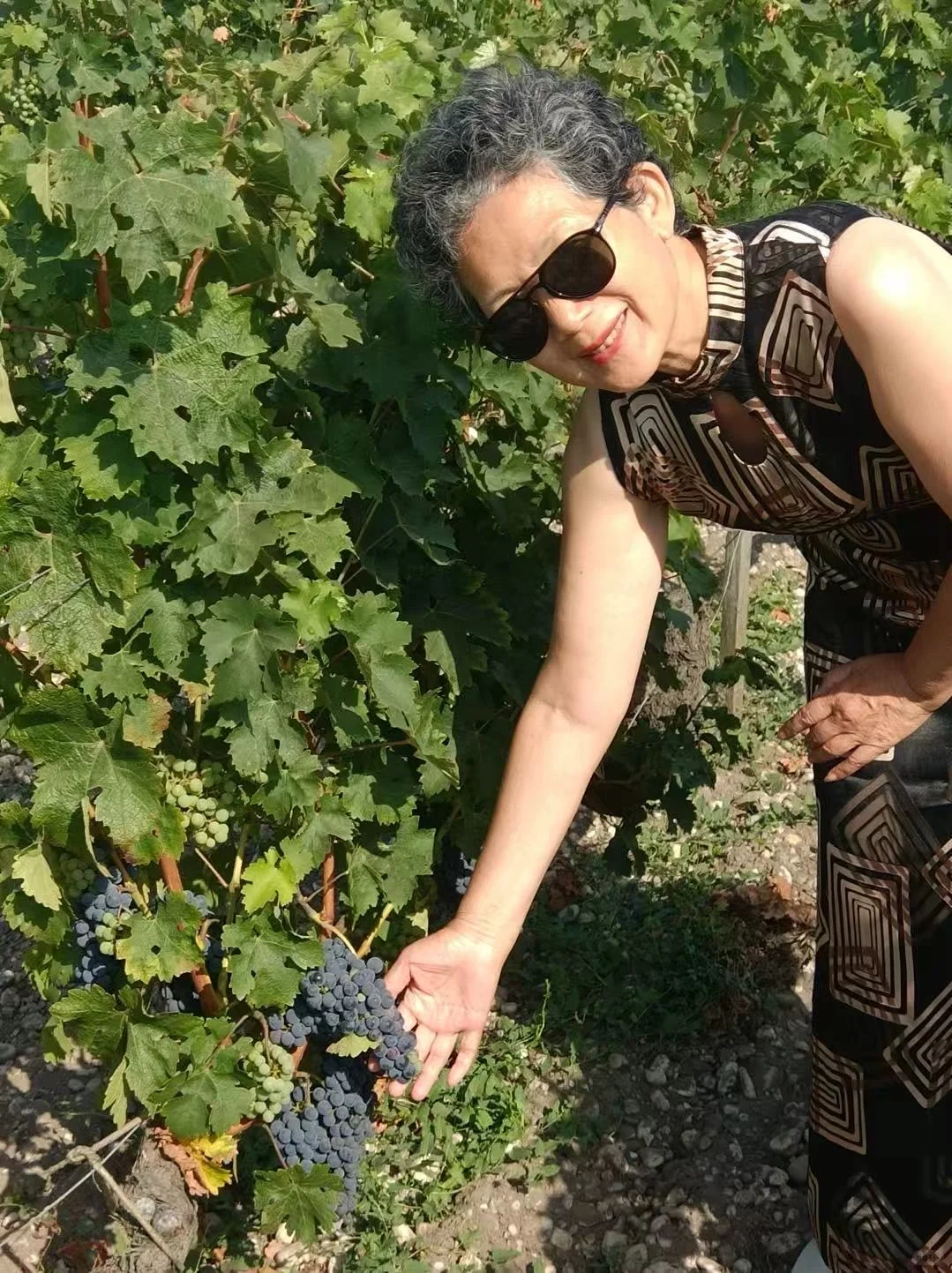 波尔多，沉醉在葡萄酒的芬芳世界（上）