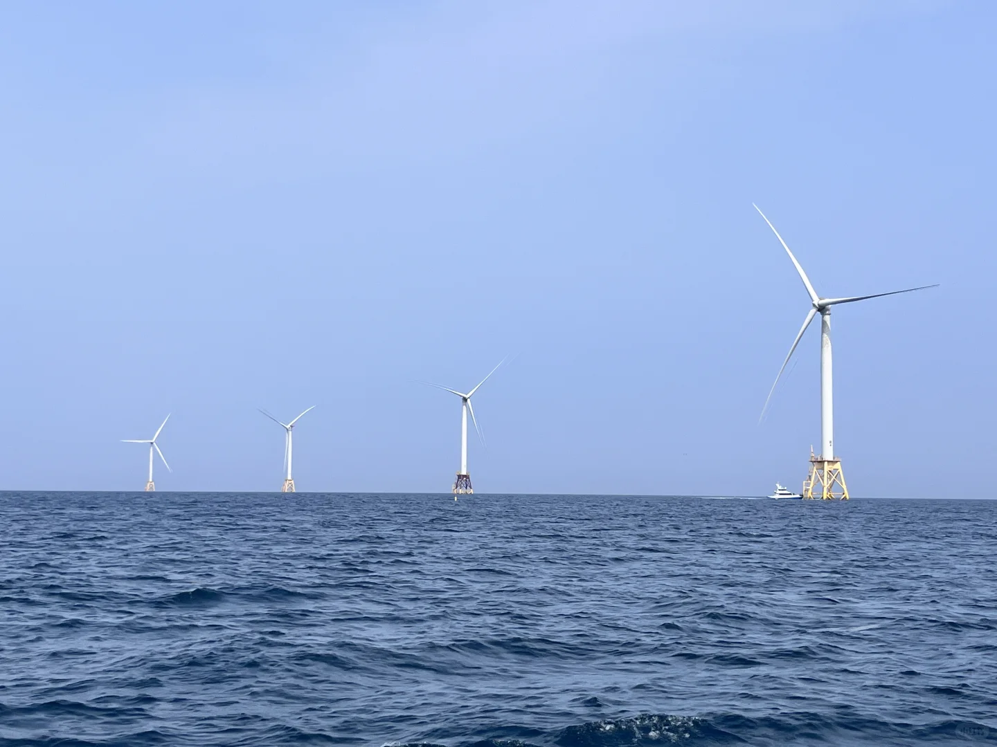 急!线下活动认识大佬但是回家后才发现咋整