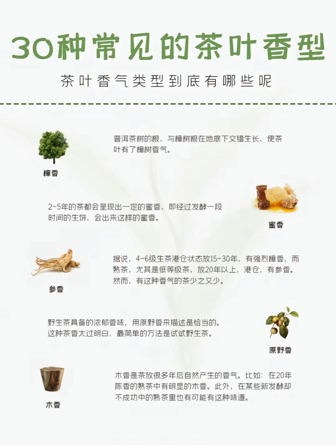 30种常见香型，你喜欢的是哪种呢？