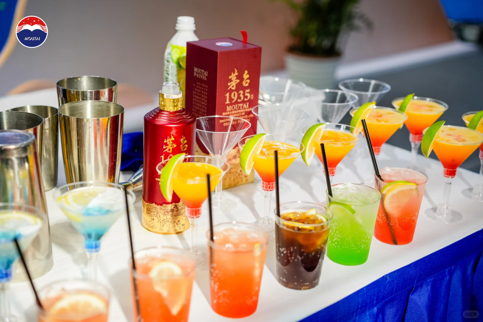 苏州茅台展——茅子酒管够