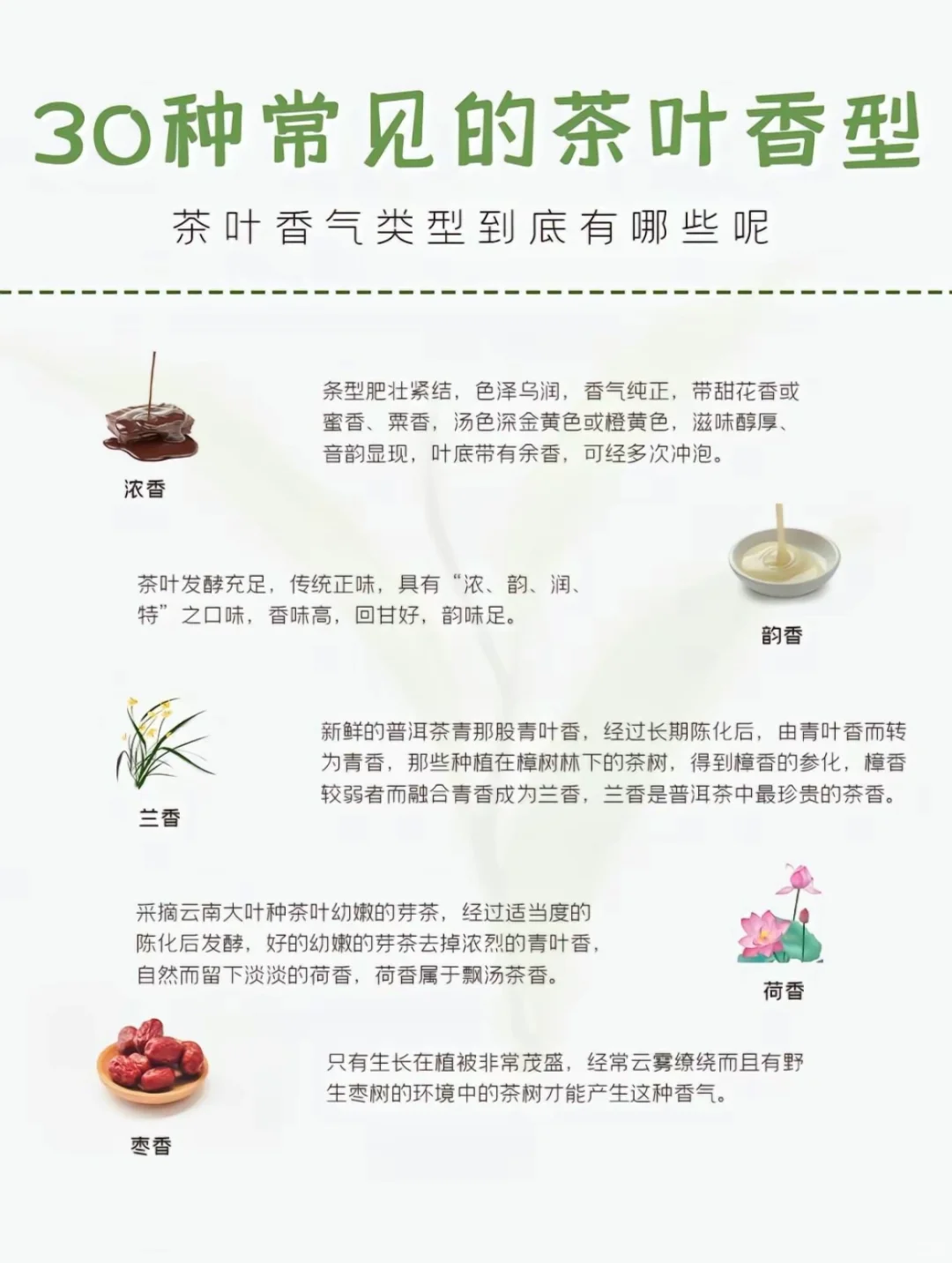 30种常见香型，你喜欢的是哪种呢？