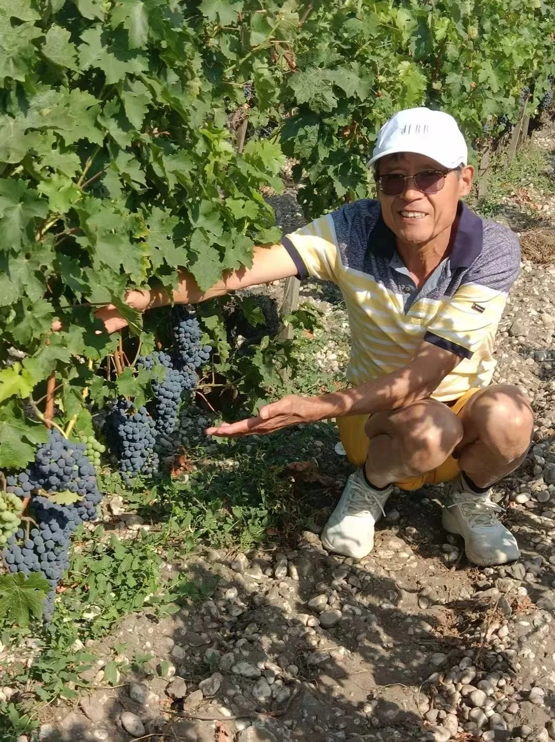 波尔多，沉醉在葡萄酒的芬芳世界（上）