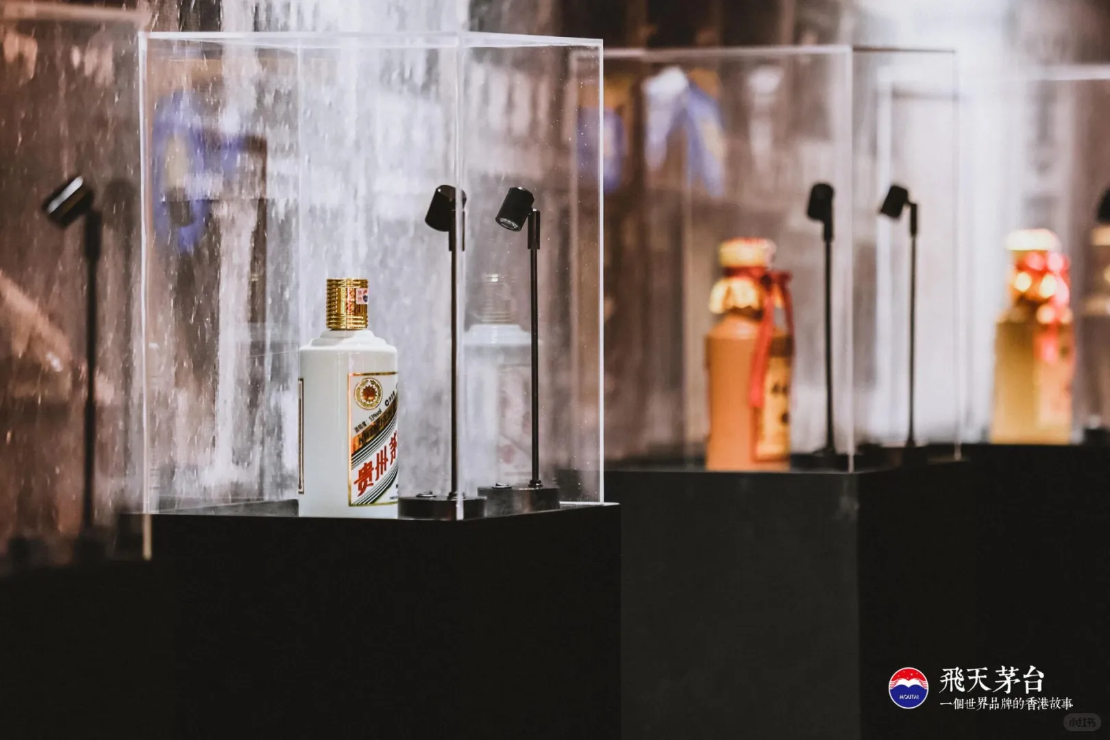 飛天茅台一個世界品牌的香港文化展