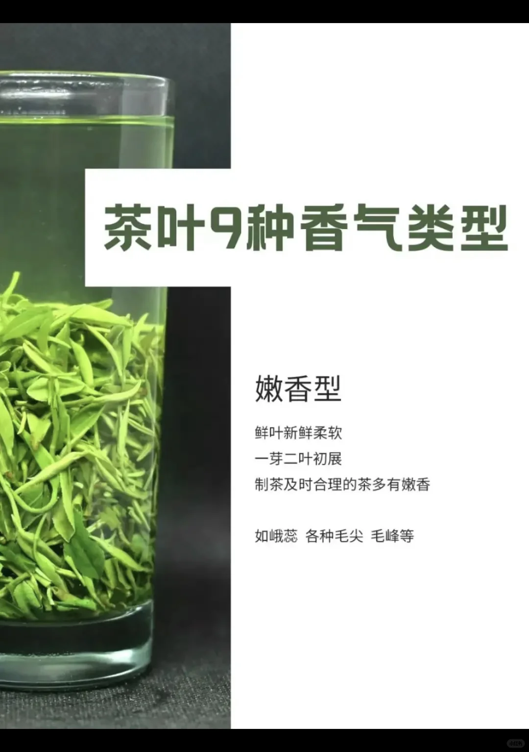 茶叶9种香型