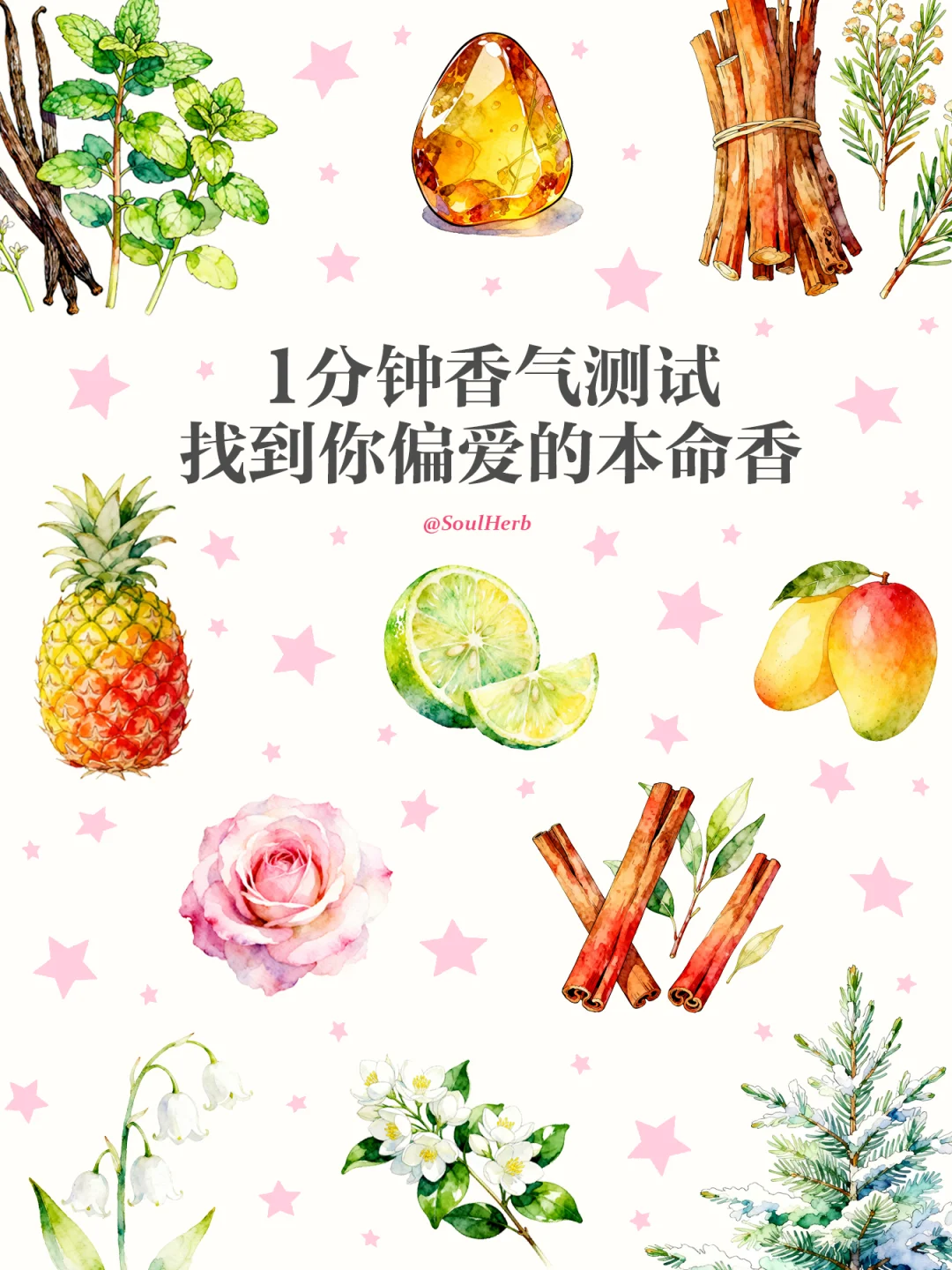 1分钟香氛测试｜找到你偏爱的本命香