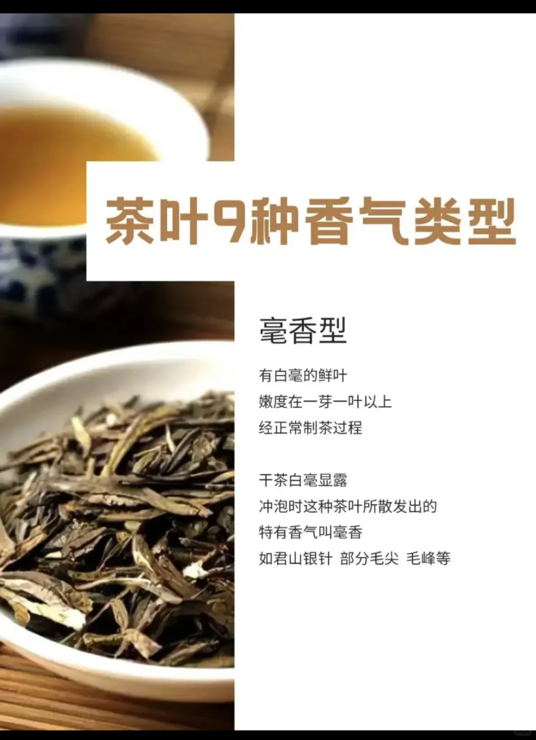 茶叶9种香型