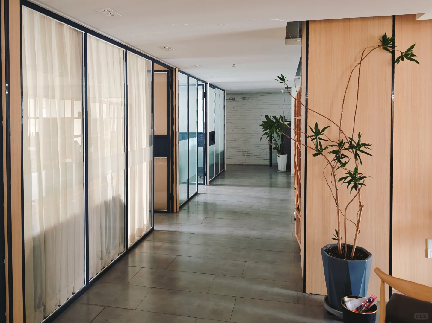 社保还双休环境又好的公司到底谁在上