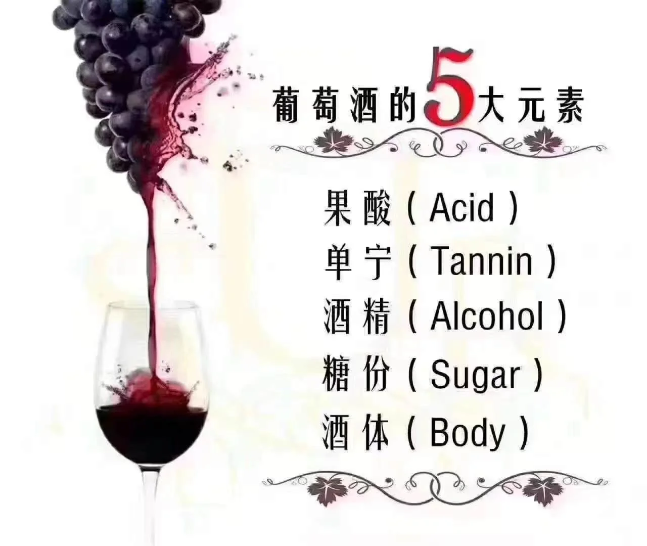 葡萄酒品鉴6大要素