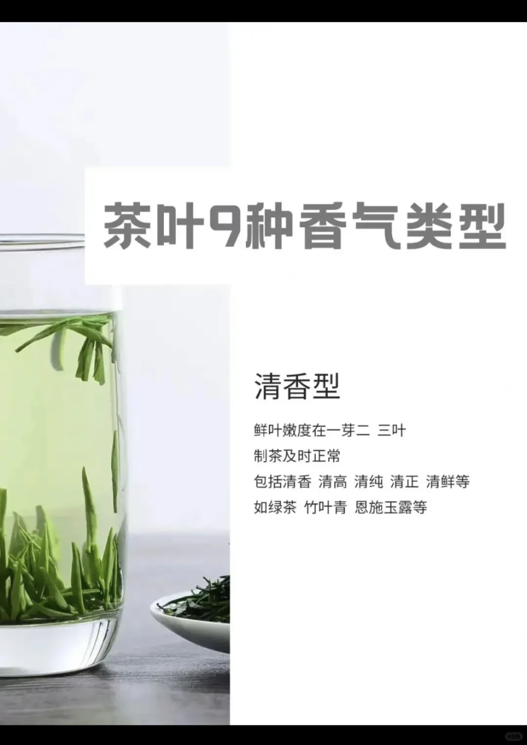 茶叶9种香型