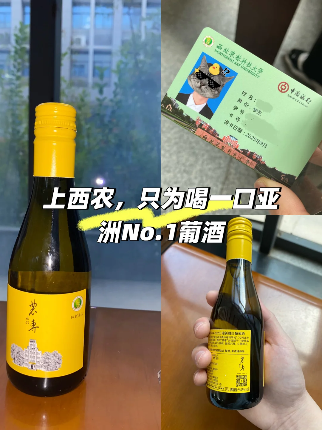我上西农，只图一口9.85°的葡萄酒?