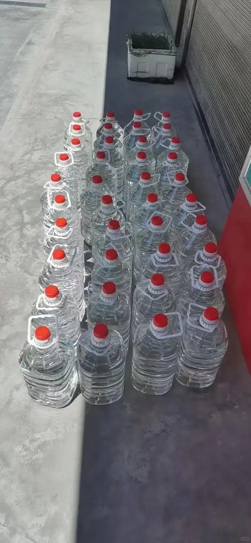 东北自家酿造纯玉米酒