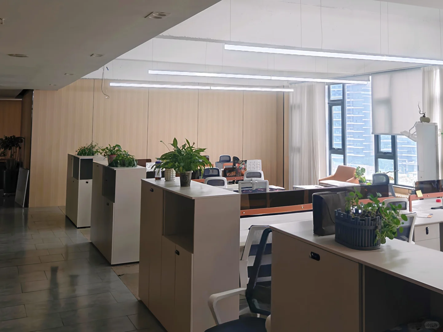 社保还双休环境又好的公司到底谁在上