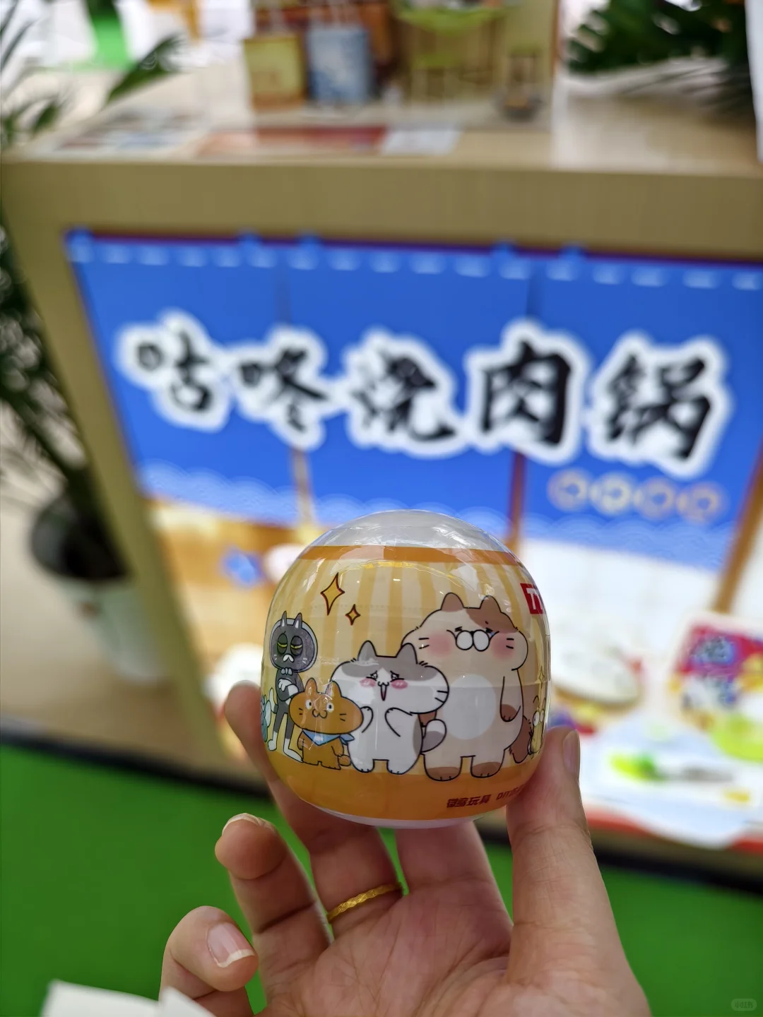 秋糖酒会｜关于我背了24斤回家的感受