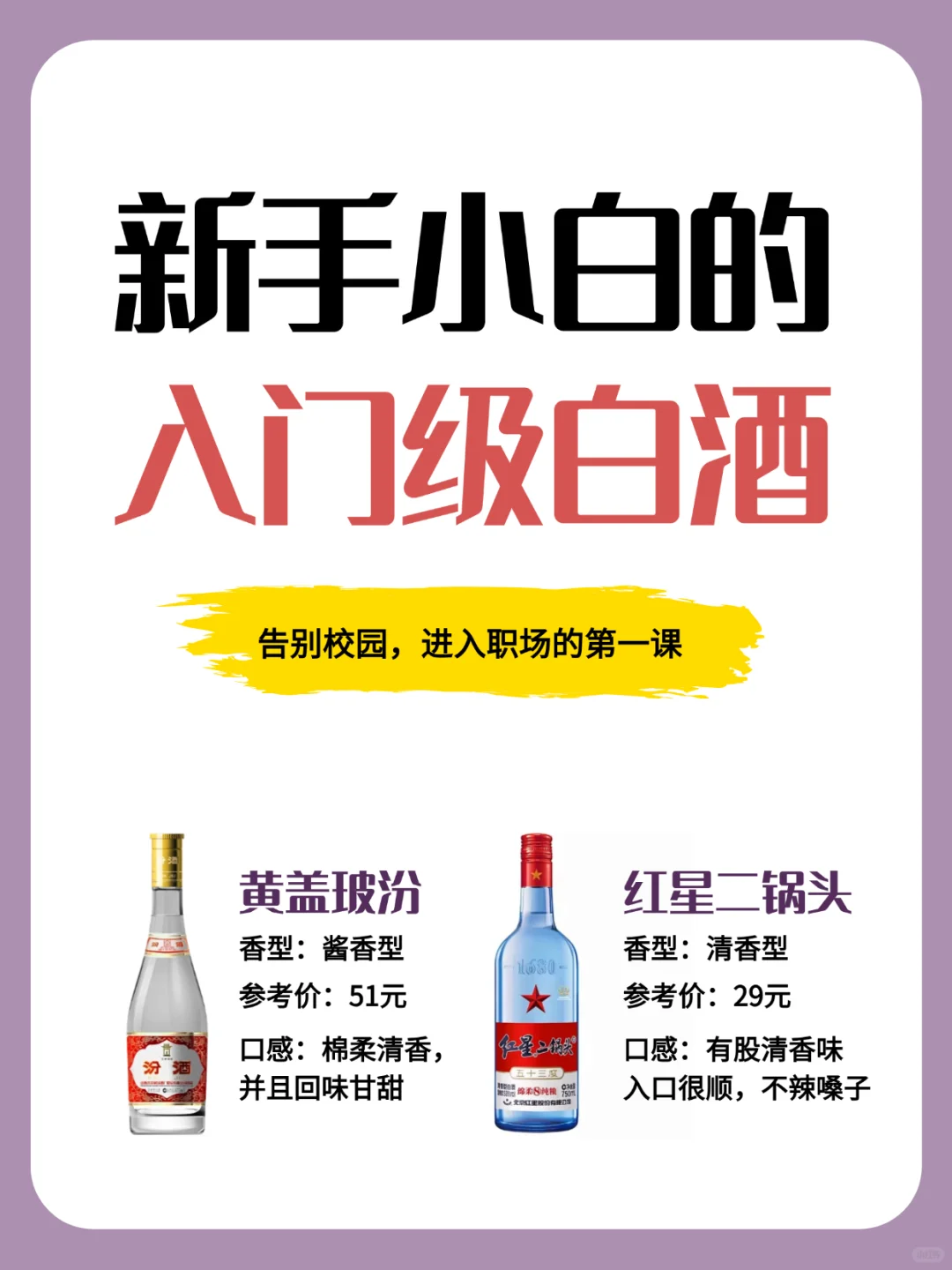 打工人速进!白酒入门秘籍来啦?