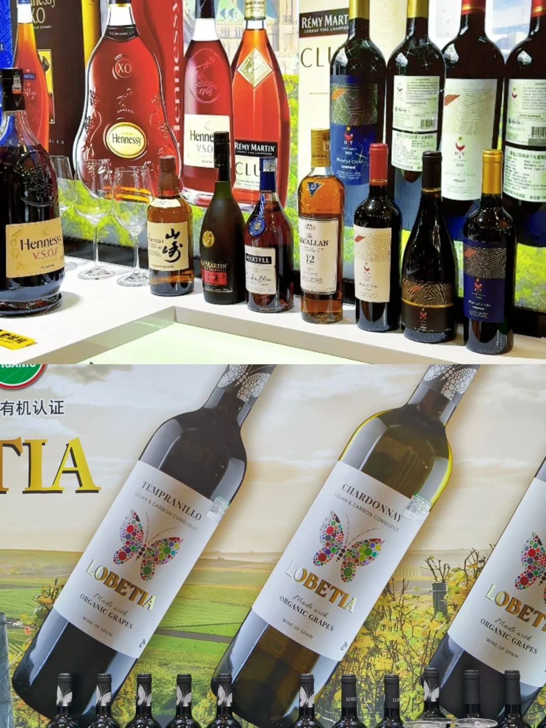 南京秋糖会终极保姆级攻略✨