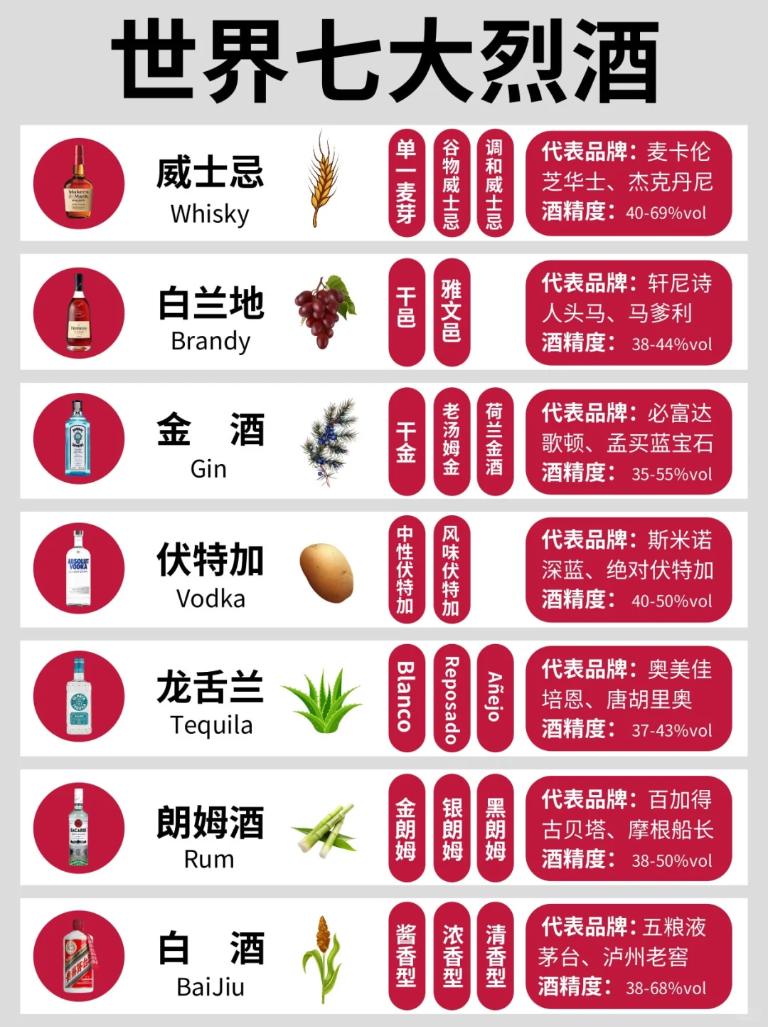 世界七大烈酒,你喝过几种❓一篇看懂酒分类❗️