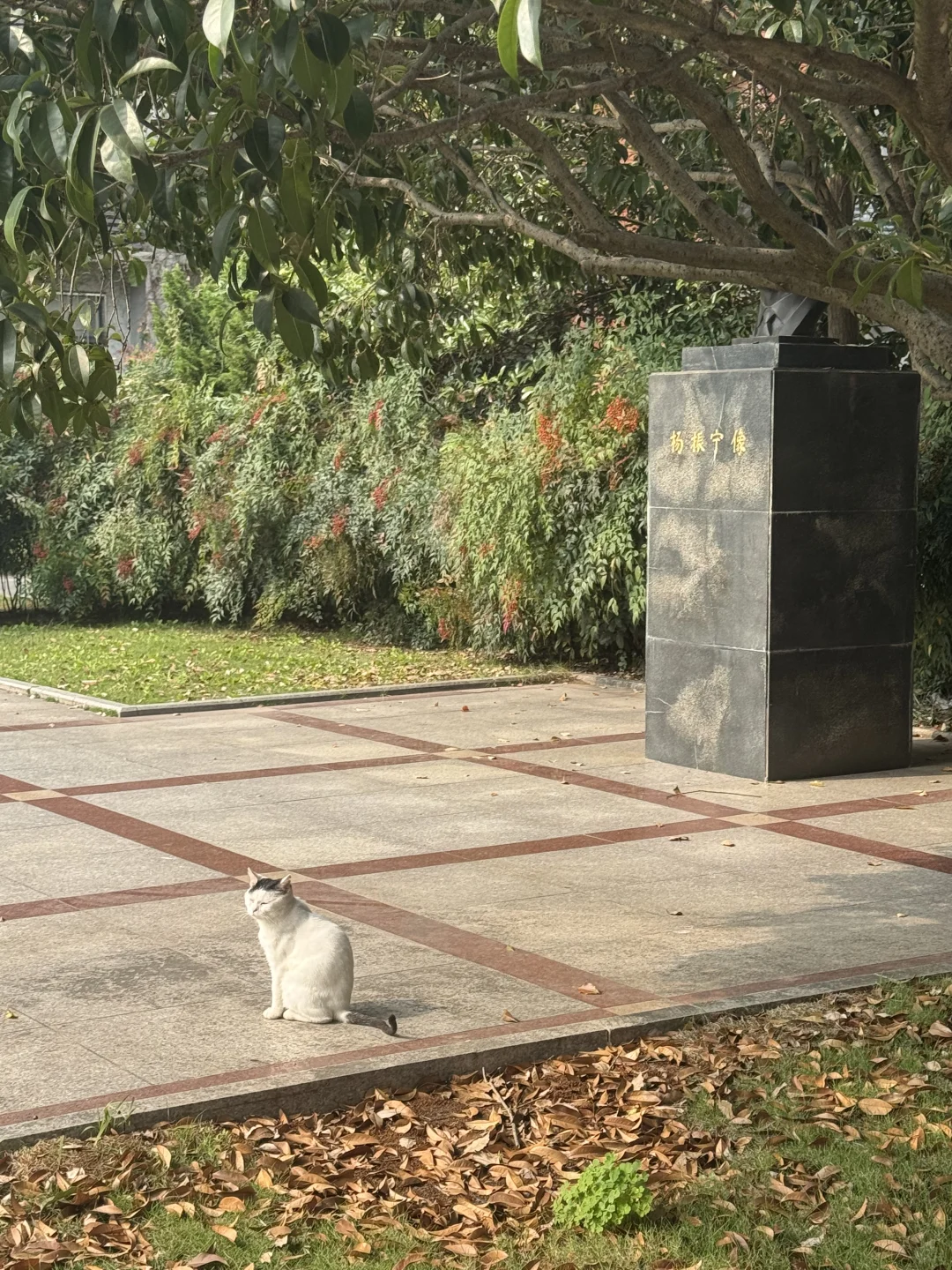 管综论说文模版——企业篇（25个套话模版！）