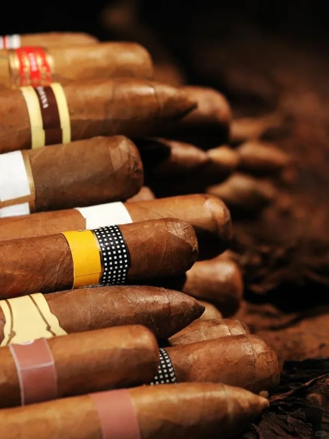 国产雪茄圈大事件❗利群入局改写行业格局