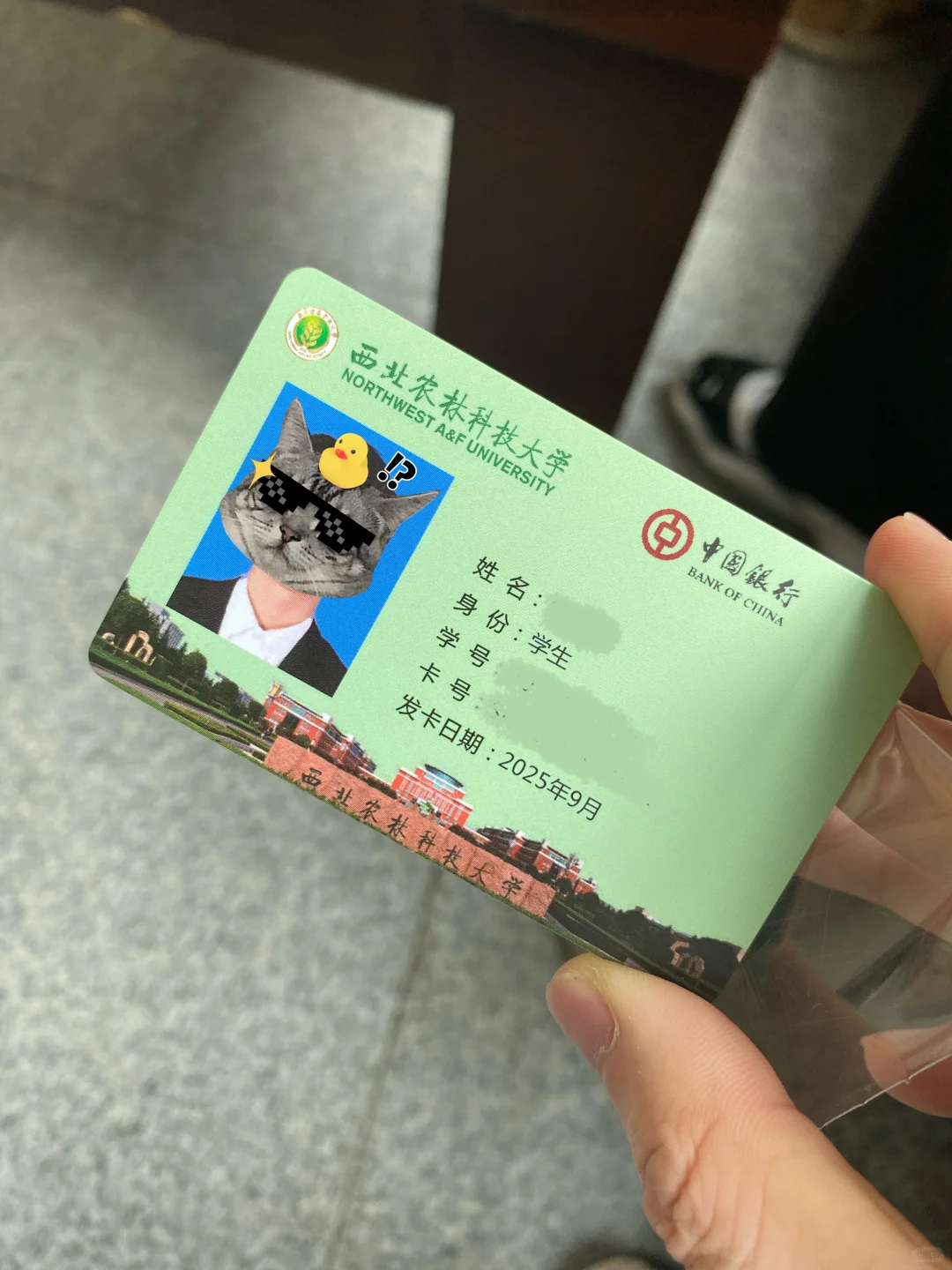 我上西农，只图一口9.85°的葡萄酒?