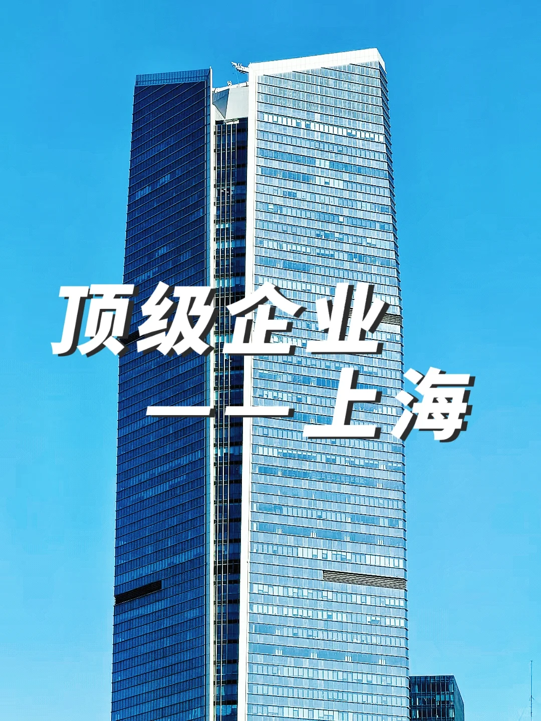 这些上海企业真的很香