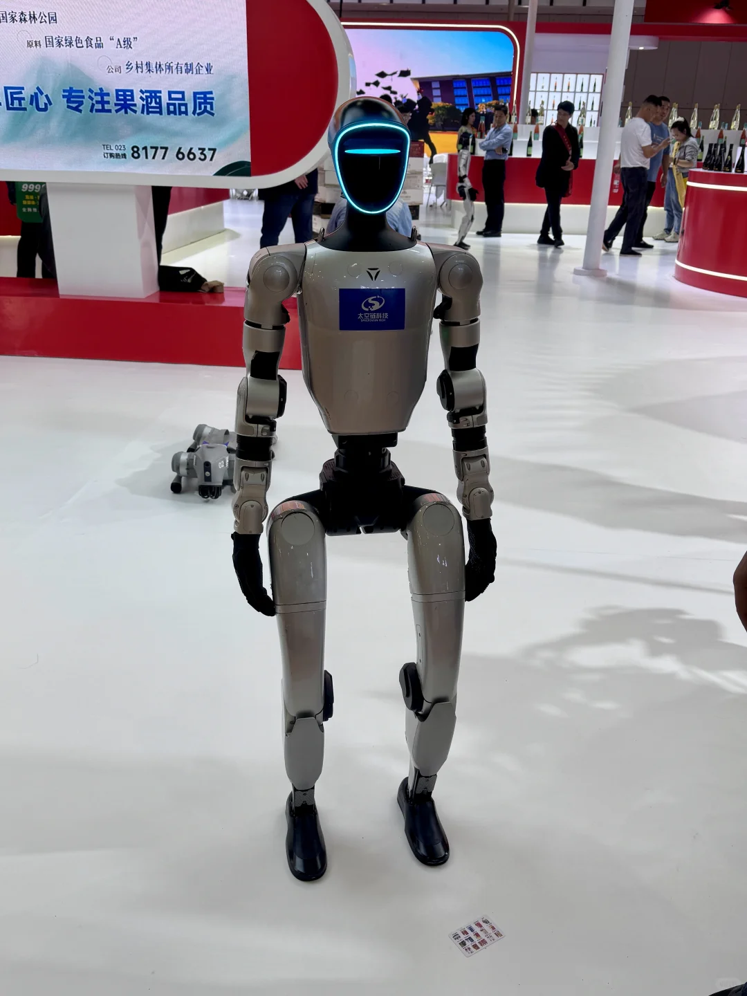 ?蚌埠石榴酒运营冲秋糖！