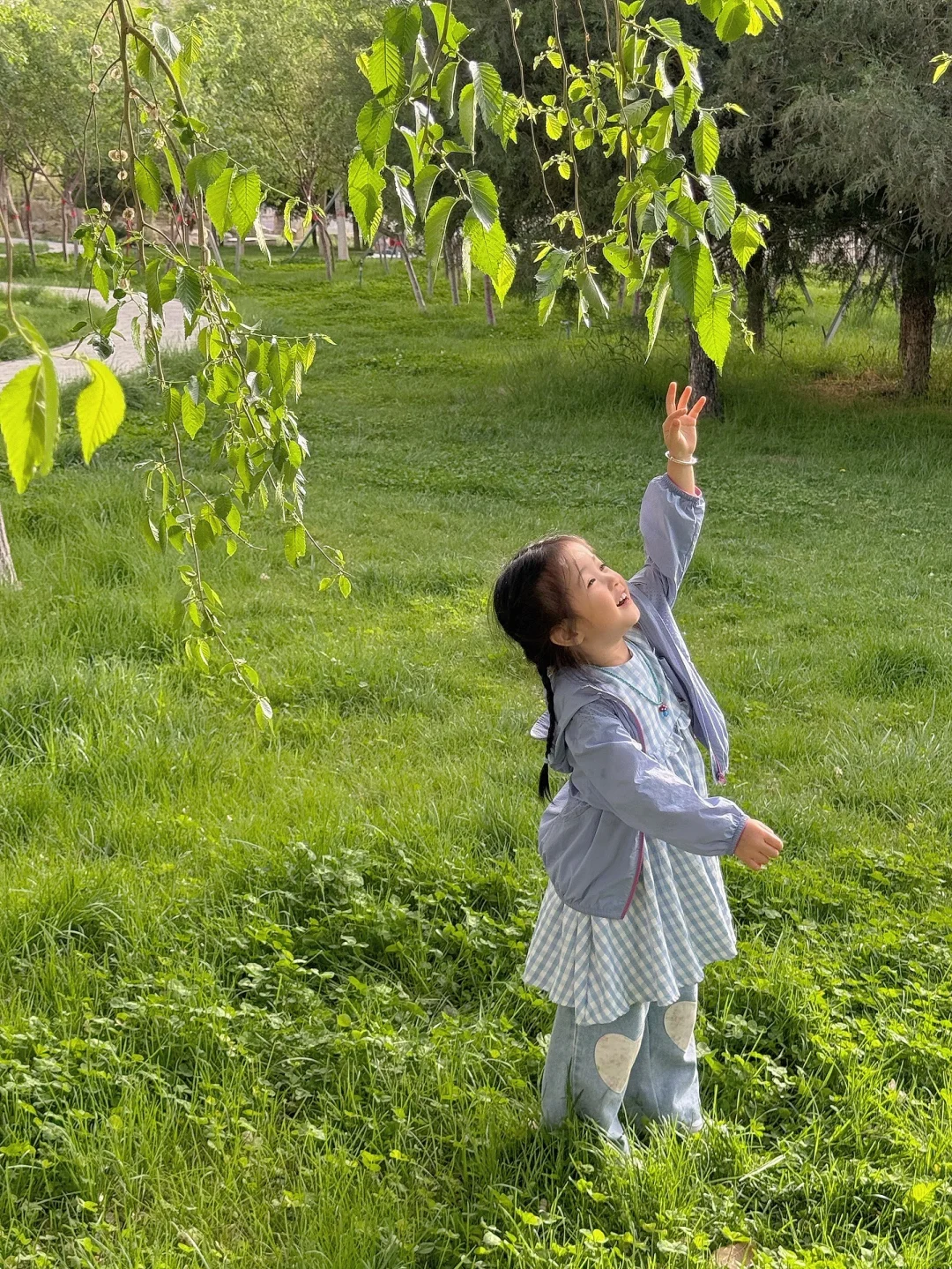 小孩子的生命力太强了！！！