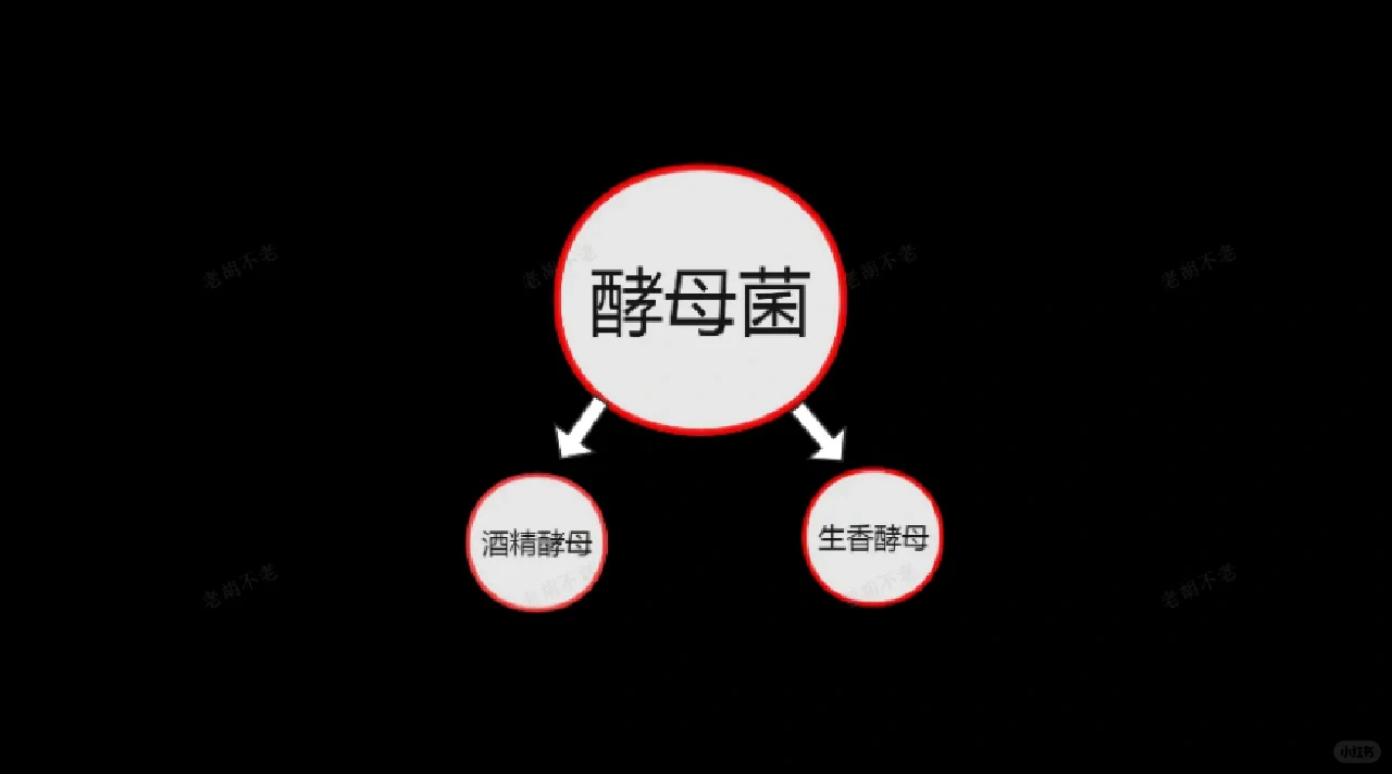 为什么酿酒都离不开酒曲？其作用是什么？
