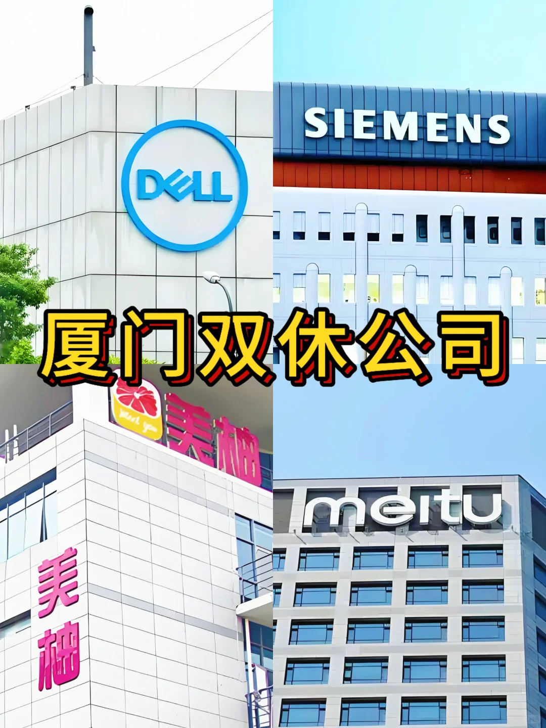 厦门双休神仙公司合集来啦！打工人速码✨