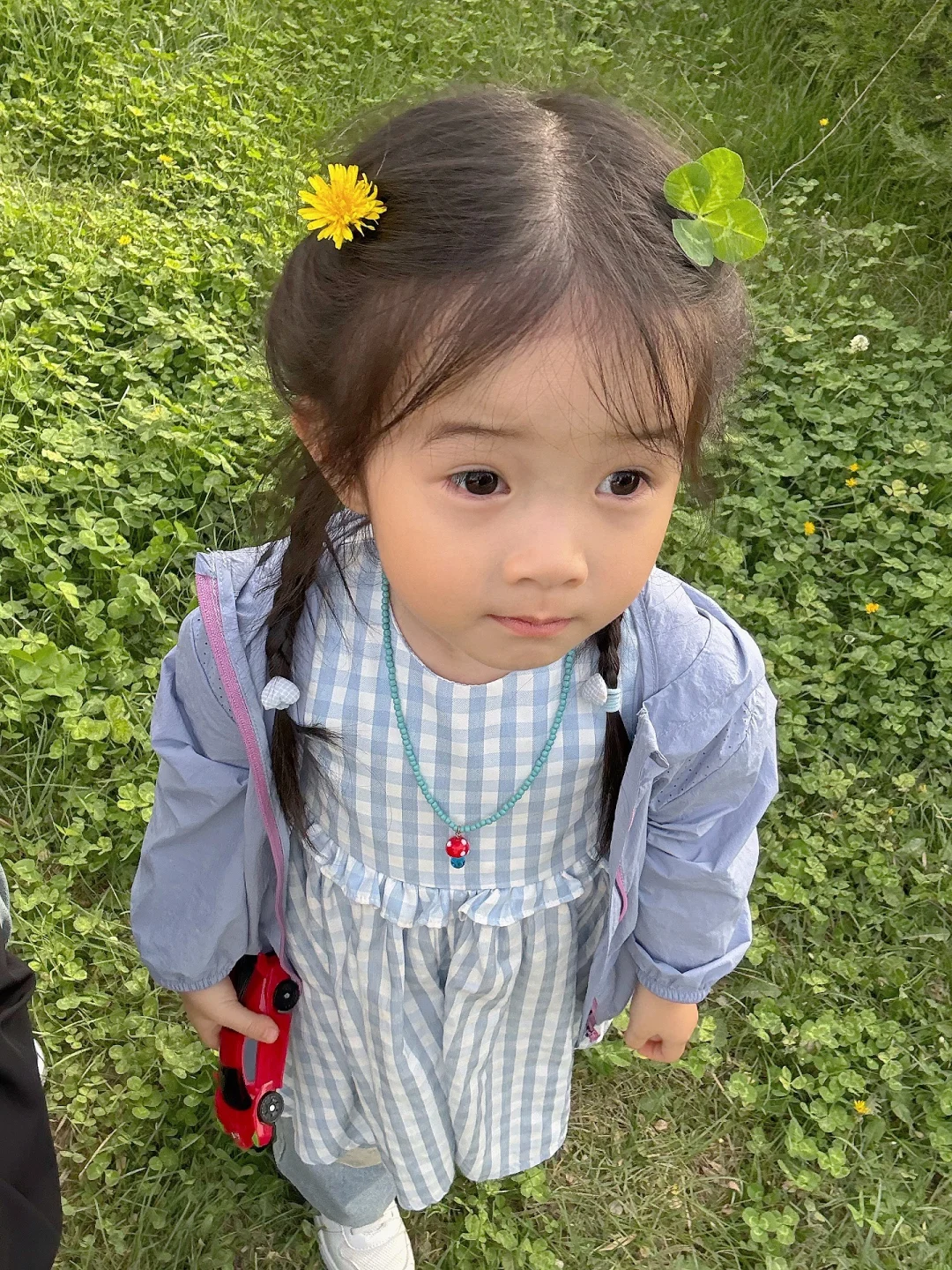 小孩子的生命力太强了！！！