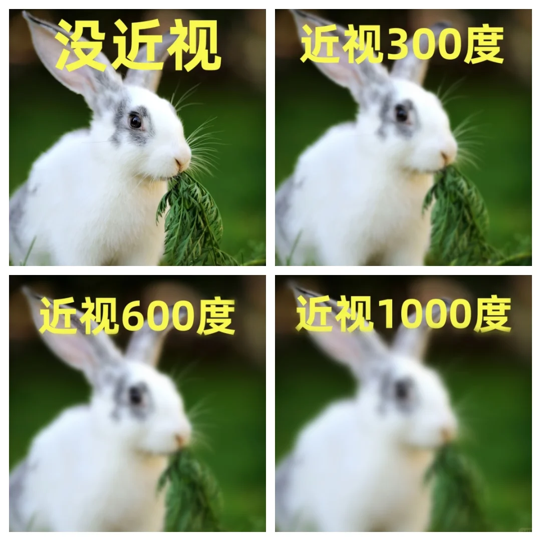 你的近视属于哪一级?别等度数爆表才后悔!