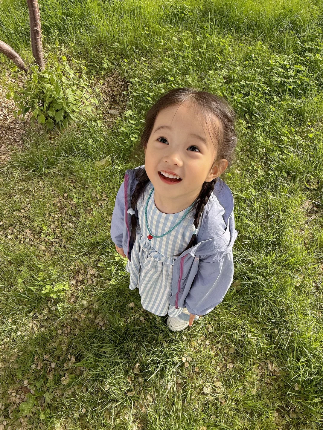 小孩子的生命力太强了！！！