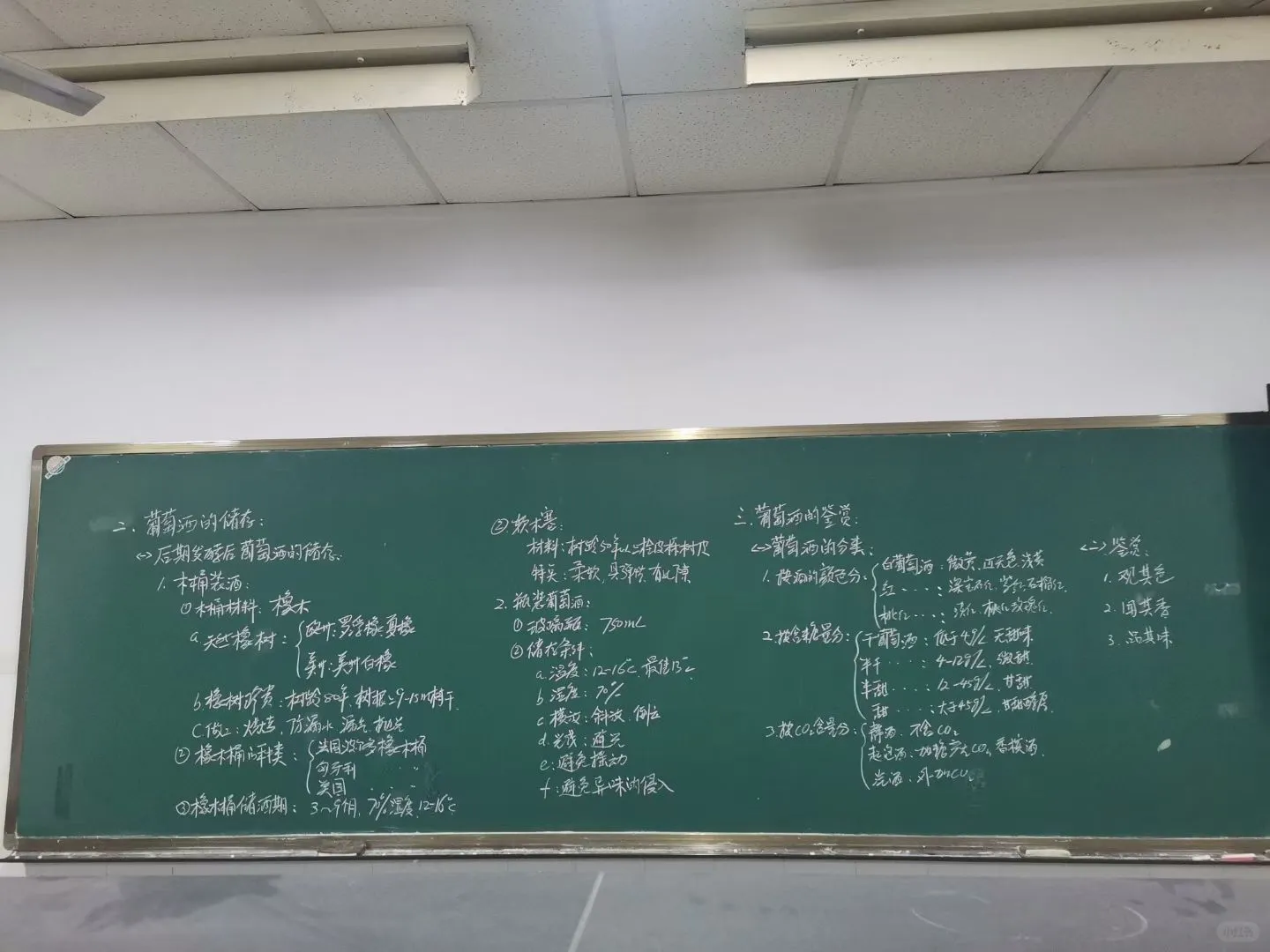 大学的葡萄酒课