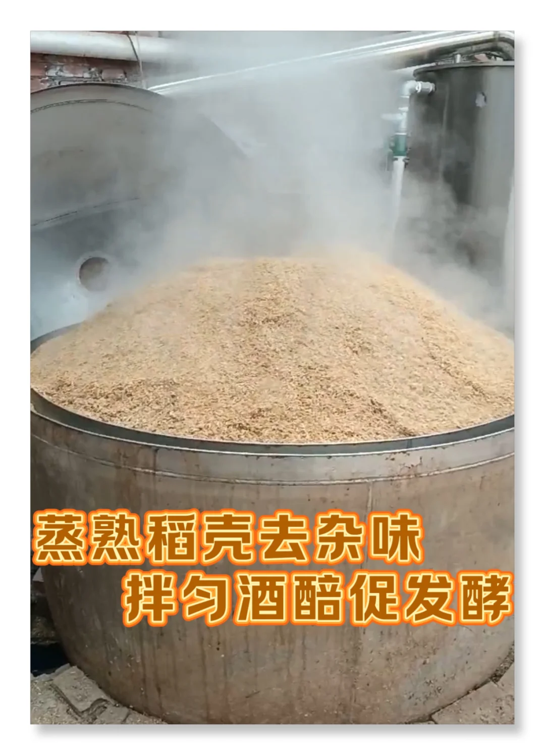 固态白酒酿造中的默默奉献者