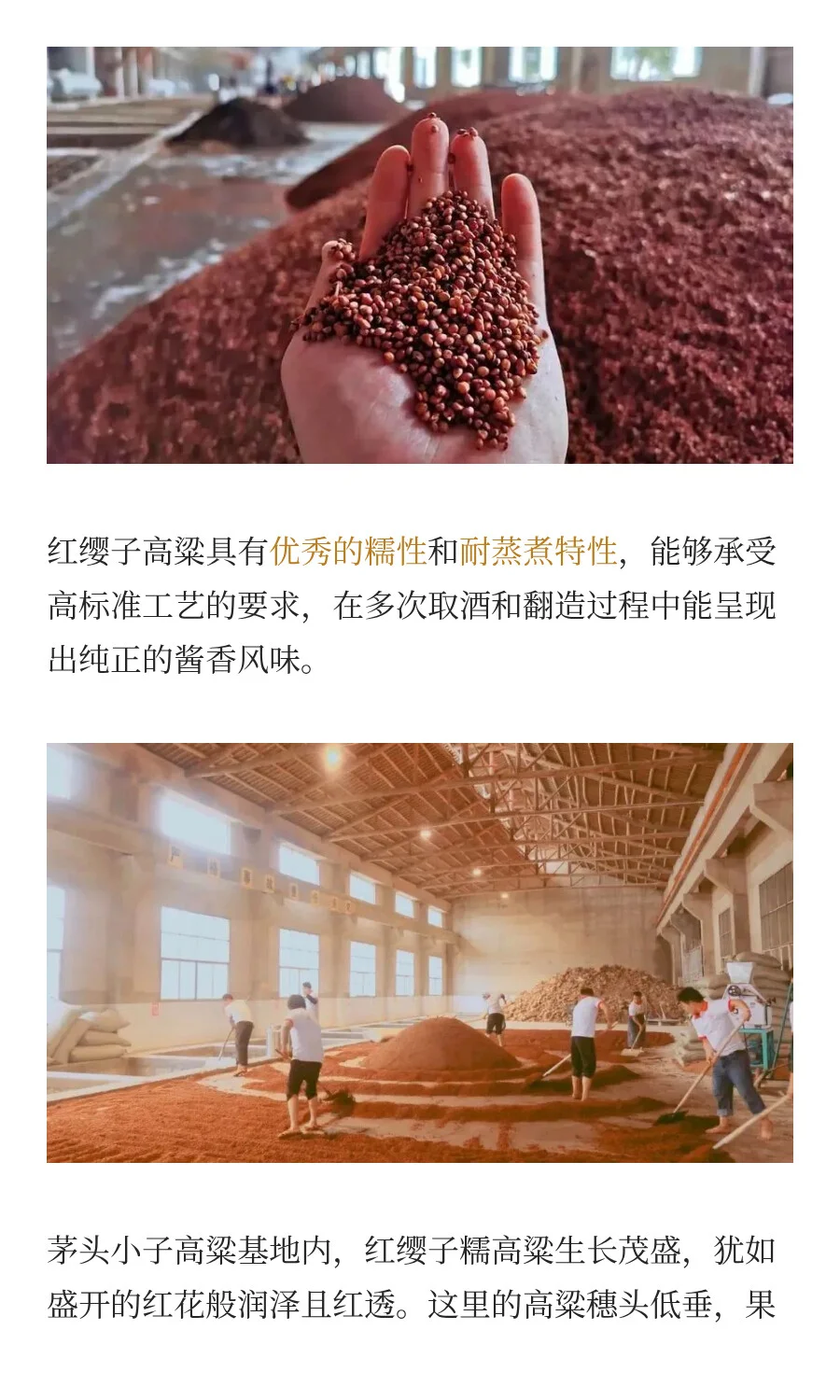 为什么只有茅台镇7.5公里的酱香酒才正宗