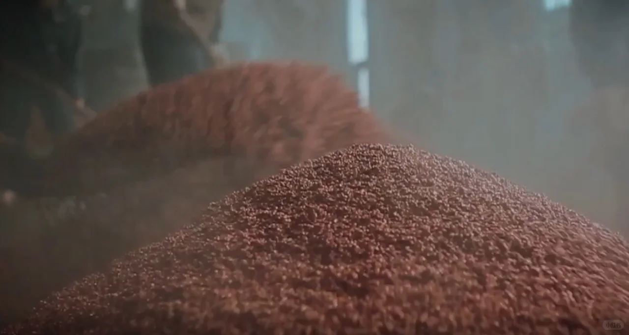 酒糟入窖后为什么不立刻封窖泥？