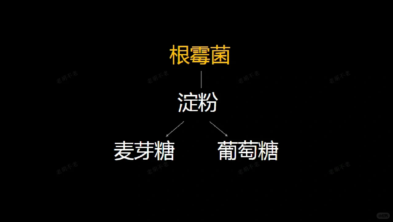 为什么酿酒都离不开酒曲？其作用是什么？