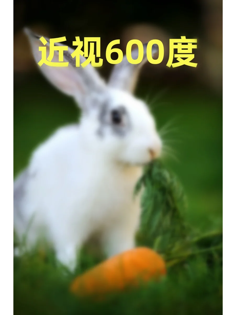 你的近视属于哪一级?别等度数爆表才后悔!