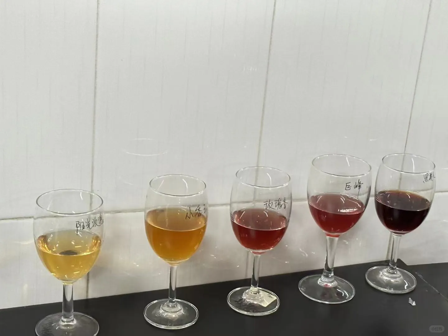 大学的葡萄酒课